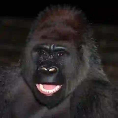 Thumbnail for Sample 3