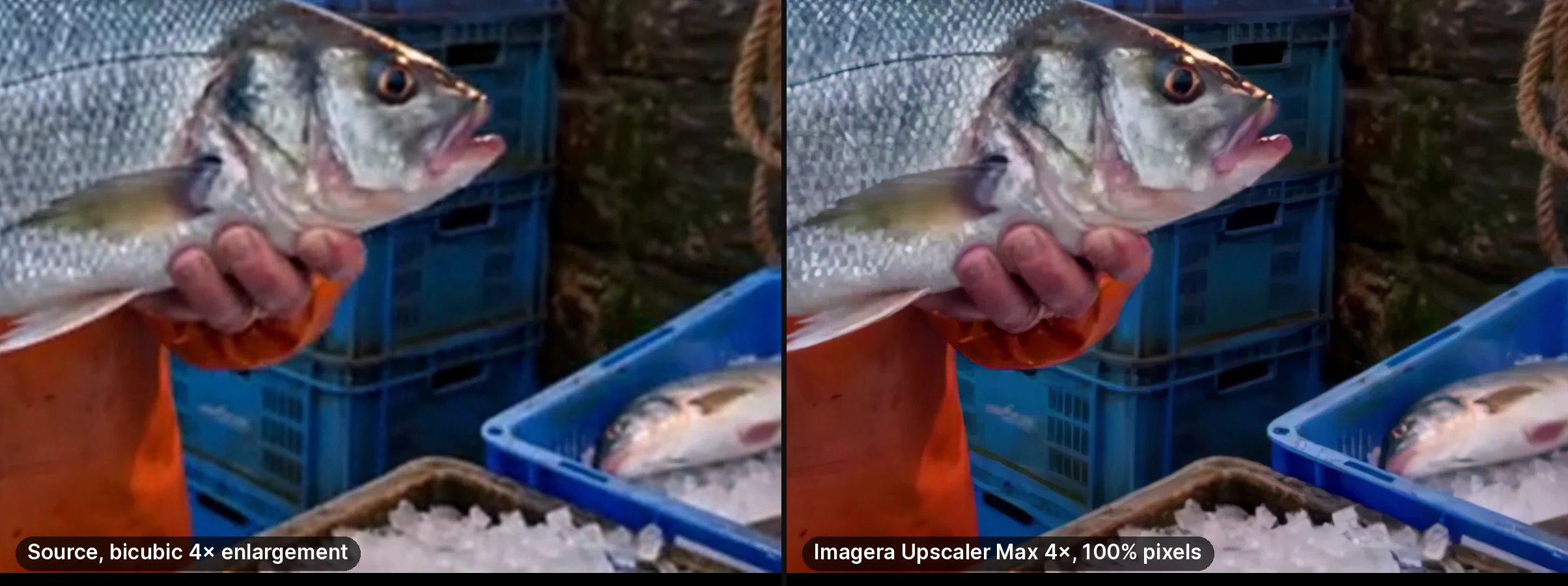 Close-up of the fish and crates at the same size: the bicubic enlargement is soft, the 4× upscale shows crisper scales, eye and crate edges