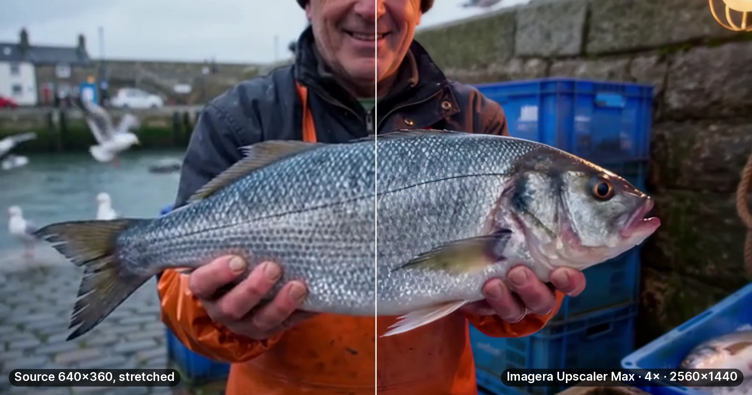 One video frame split down the middle: a stretched 640 by 360 fish-market clip on the left, the same frame after Imagera Upscaler Max 4× to 2560 by 1440 on the right