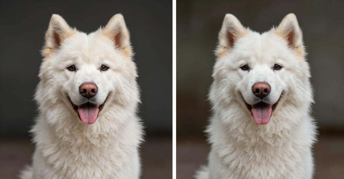 Remove.bg vs Imagera: AI Background Tool Comparison (2026)