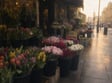 Golden Hour Relight result