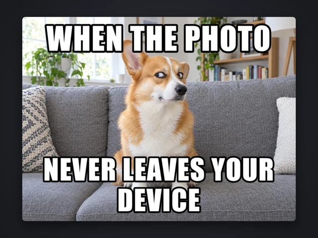 Corgi giving a side-eye with meme captions reading “When the photo never leaves your device”