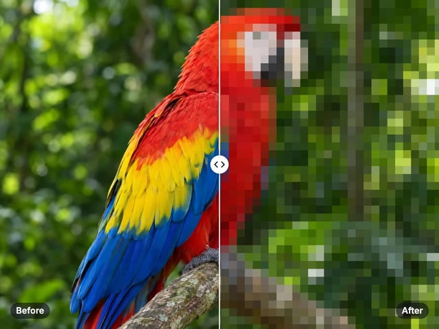 Scarlet macaw on a branch, sharp on the left and turned into large pixel blocks on the right