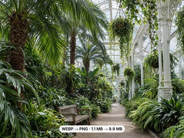 Victorian glasshouse full of palms, converted from a 1.1 MB WebP to a 9.9 MB lossless PNG