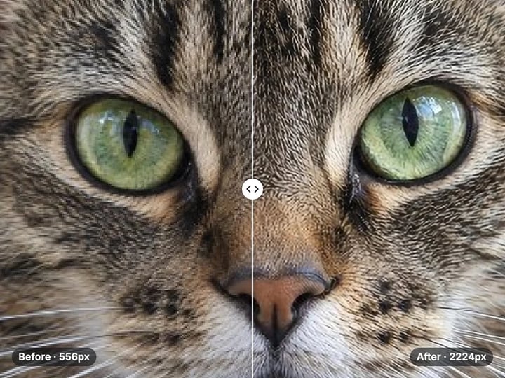 Close-up of a tabby cat: the blocky 556px original on the left, the sharp 4× upscaled 2224px result on the right