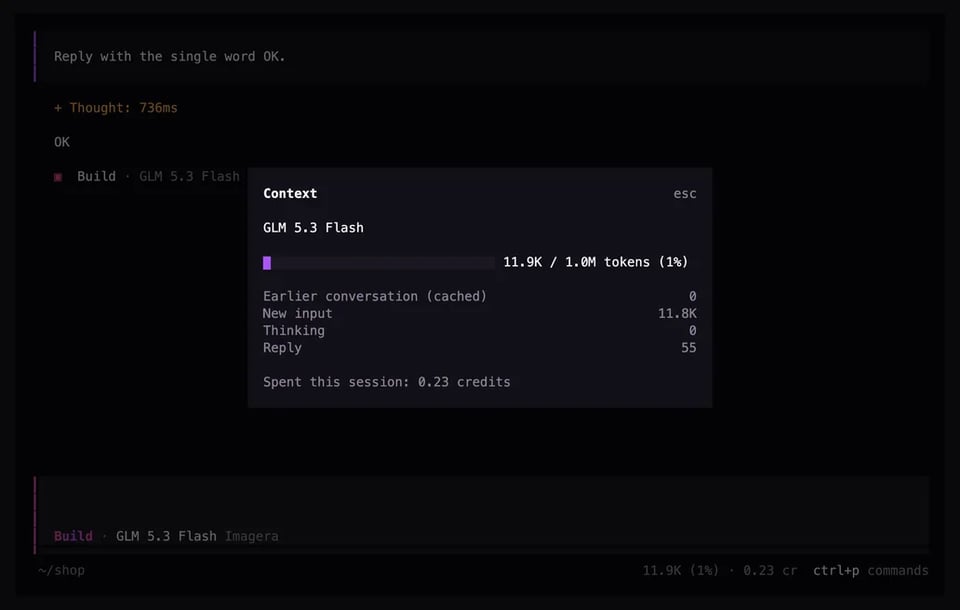 Terminal: the context dialog with tokens used and credits spent