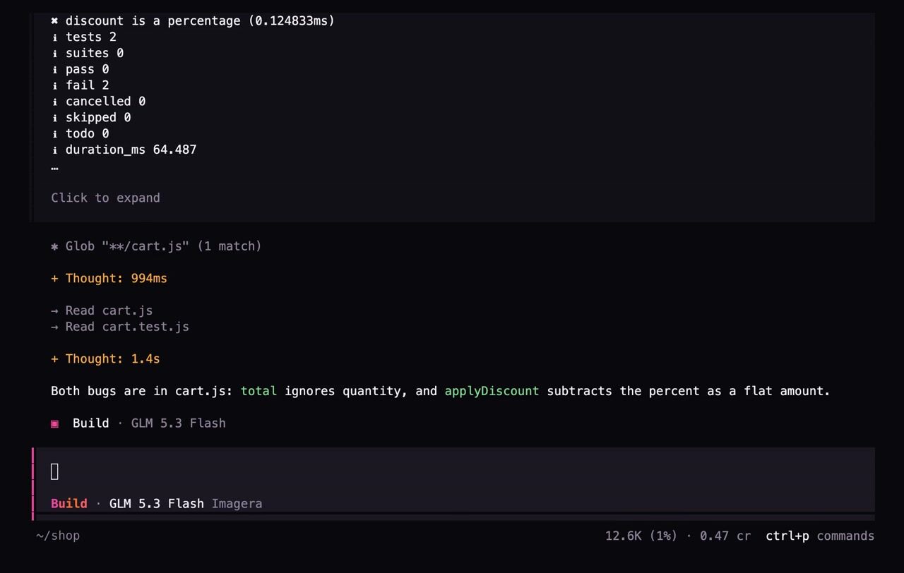 Imagera Code, real recording: it reads the code