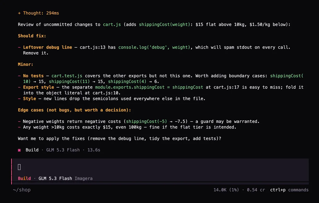 Terminal after the prompt: /review